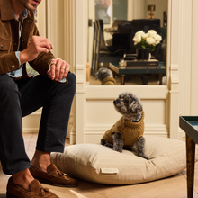 Brody Dog Bed (Wide Stripe)