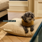 Brody Dog Bed (Wide Stripe)
