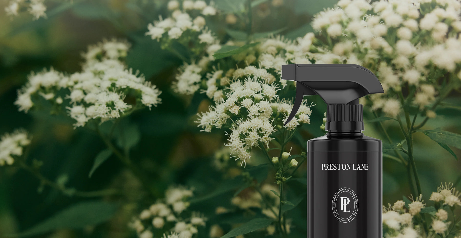 Black spray bottle with 'Preston Lane' branding against a natural background with white flowers.